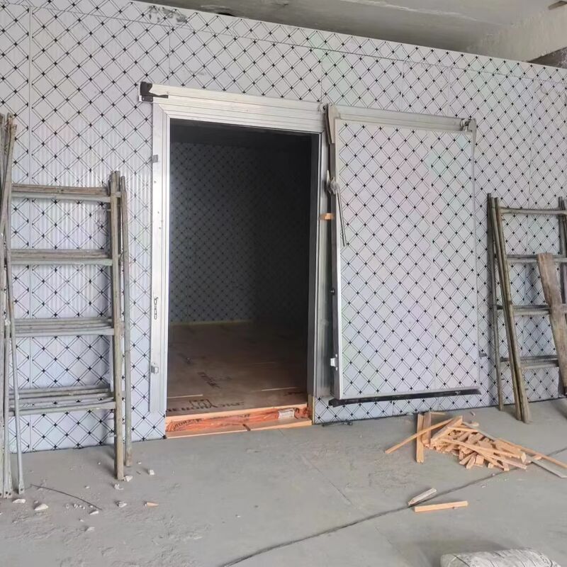 Semi Recessed Cold Room Door 75mm 100mm 120mm 150mm For Food Cold Chain Storage