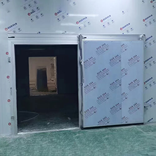 Compact Cold Store Sliding Doors , Manual Sliding Cold Room Door Manufacturers