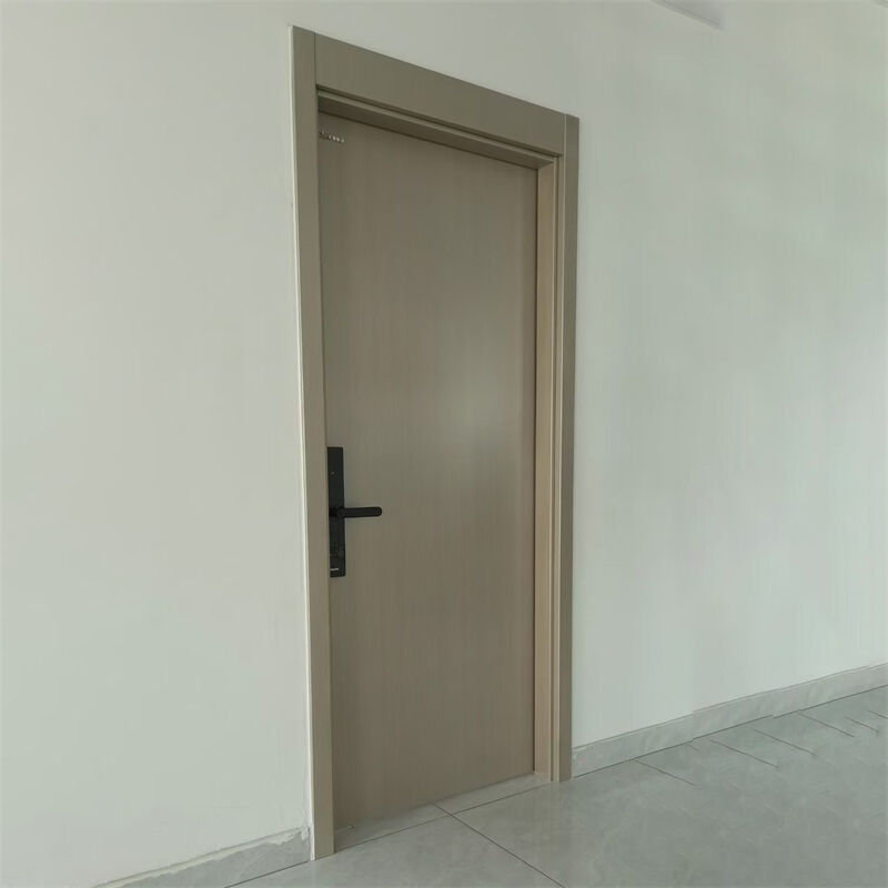Customized Size Cleanroom Door Modern Steel Clean Door Popular Smart Door For Industrial Cleanrooms