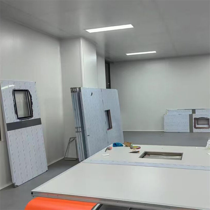 Fast Installation Modern Steel Cleanroom Doors For ISO Certified Cleanrooms