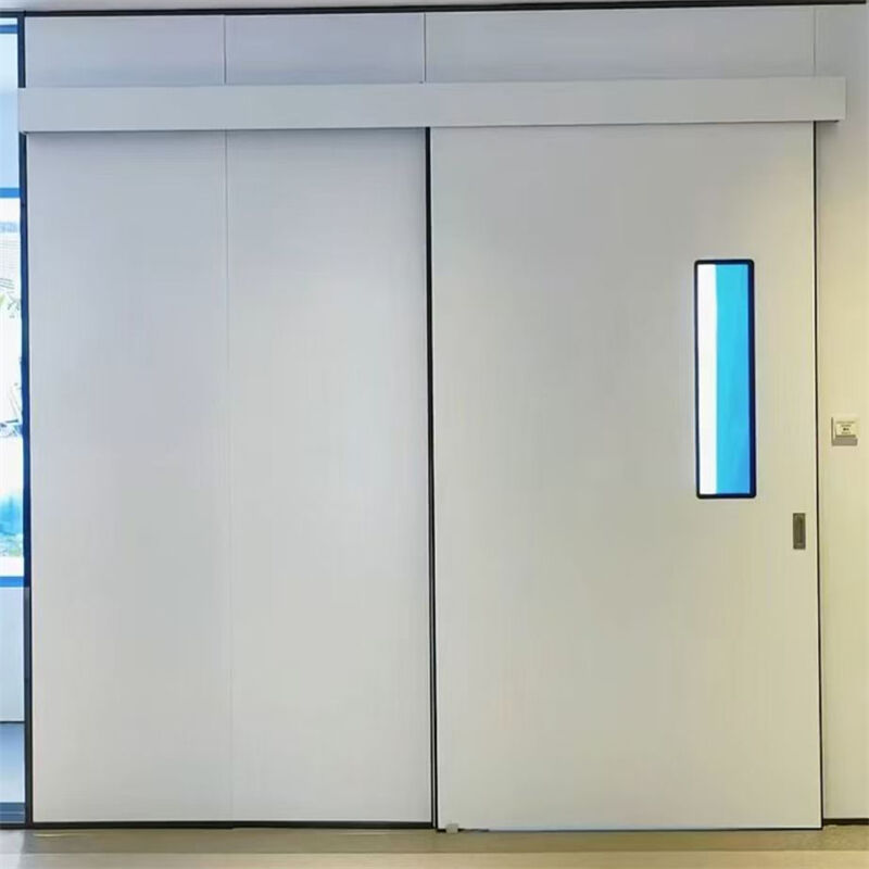 Fast Installation Modern Steel Cleanroom Doors For ISO Certified Cleanrooms