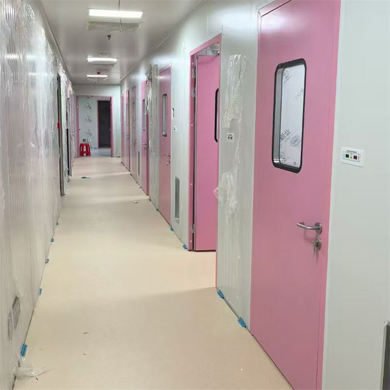 Modern Interior Steel Door With Aluminum Edge Coving 50mm 0.8mm For Semiconductor Cleanroom