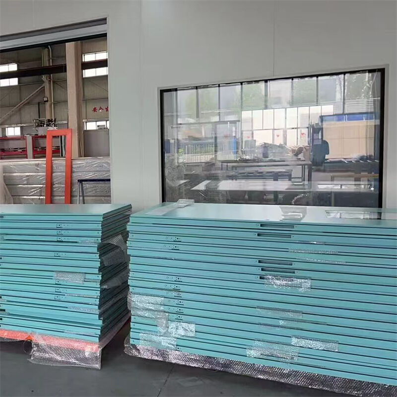 Dust Free Eco Friendly Honeycomb Plastic Steel Cleanroom Door For Pharmaceutical Manufacturing Facilities