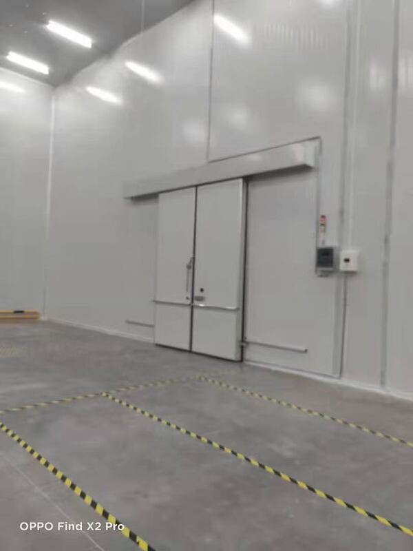 Airtight Insulated Double Sliding Electric Cold Room Door 200mm Frozen Food Processing Facilities