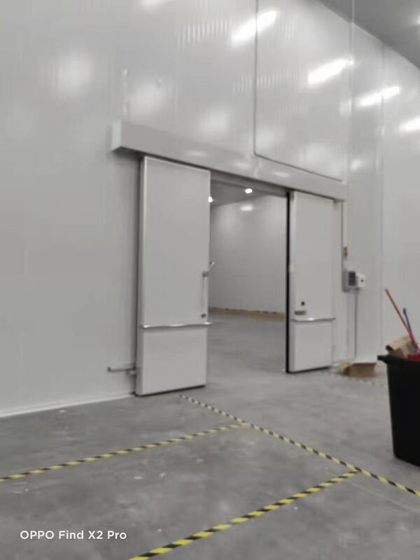 Airtight Insulated Double Sliding Electric Cold Room Door 200mm Frozen Food Processing Facilities
